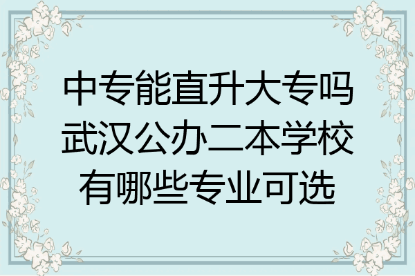 中专能直升大专吗武汉公办二本学校有哪些专业可选