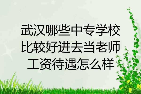 武汉哪些中专学校比较好进去当老师工资待遇怎么样