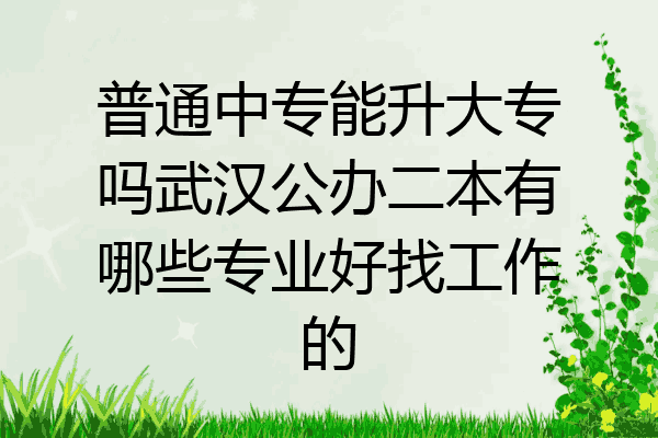 普通中专能升大专吗武汉公办二本有哪些专业好找工作的