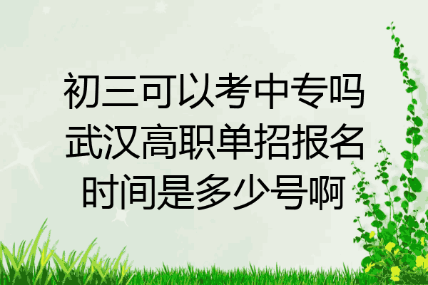 初三可以考中专吗武汉高职单招报名时间是多少号啊