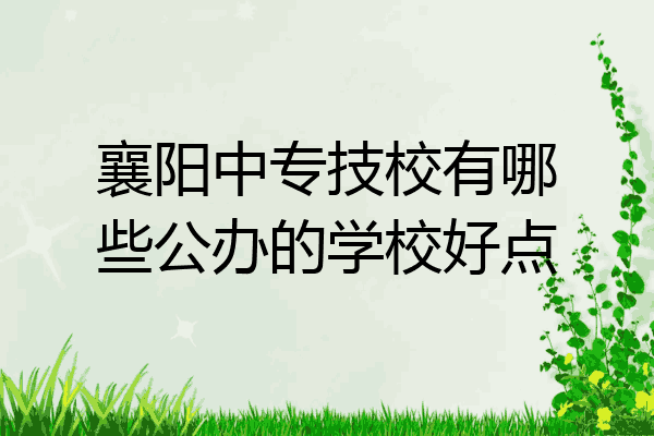 襄阳中专技校有哪些公办的学校好点