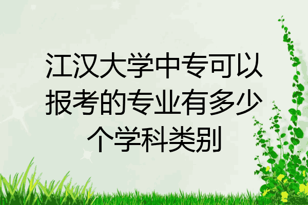 江汉大学中专可以报考的专业有多少个学科类别