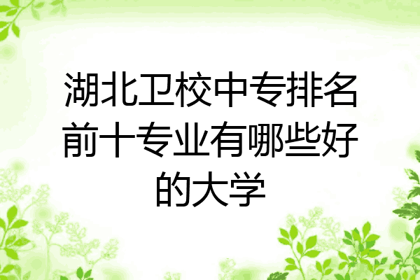 湖北卫校中专排名前十专业有哪些好的大学