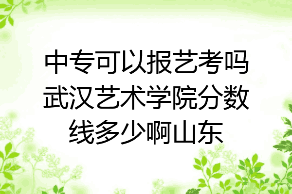 中专可以报艺考吗武汉艺术学院分数线多少啊山东