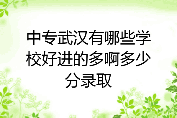 中专武汉有哪些学校好进的多啊多少分录取