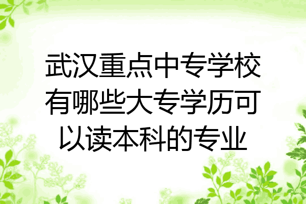 武汉重点中专学校有哪些大专学历可以读本科的专业
