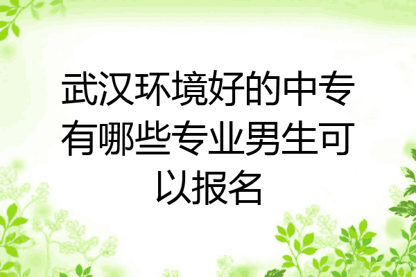 武汉环境好的中专有哪些专业男生可以报名