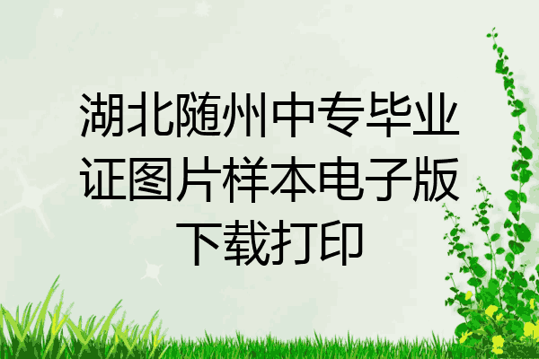 湖北随州中专毕业证图片样本电子版下载打印