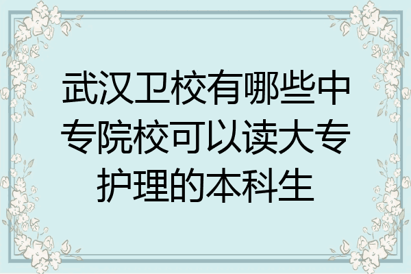 武汉卫校有哪些中专院校可以读大专护理的本科生