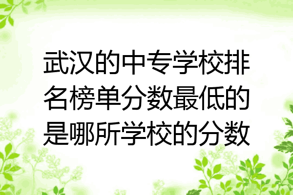 武汉的中专学校排名榜单分数最低的是哪所学校的分数