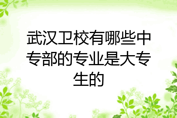 武汉卫校有哪些中专部的专业是大专生的