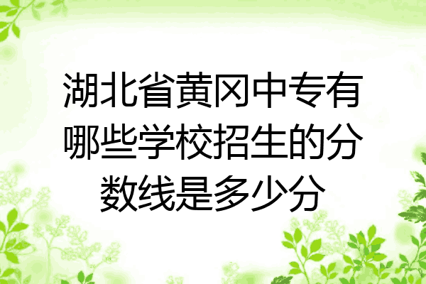 湖北省黄冈中专有哪些学校招生的分数线是多少分