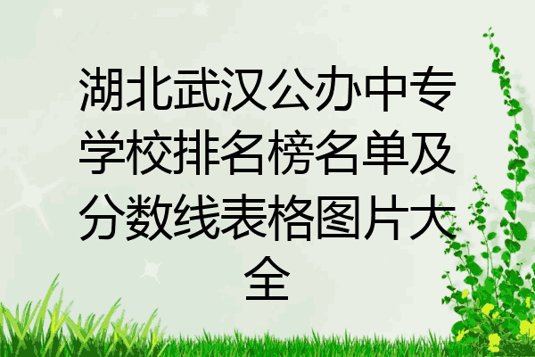 湖北武汉公办中专学校排名榜名单及分数线表格图片大全