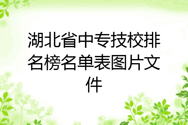 湖北省中专技校排名榜名单表图片文件