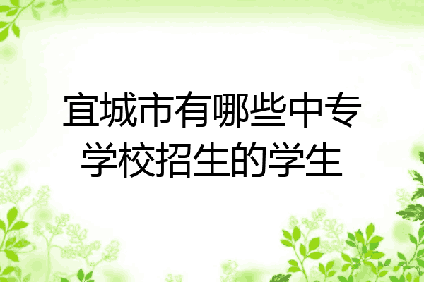 宜城市有哪些中专学校招生的学生