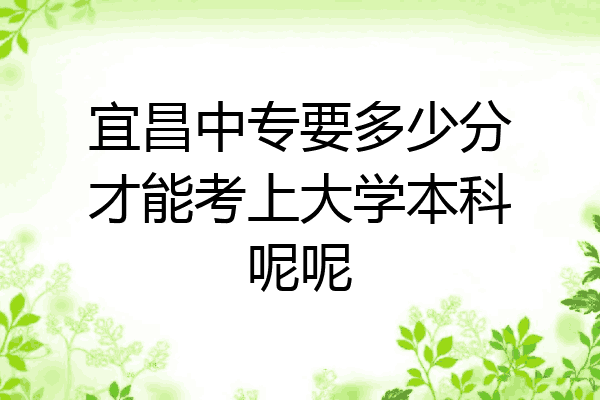 宜昌中专要多少分才能考上大学本科呢呢