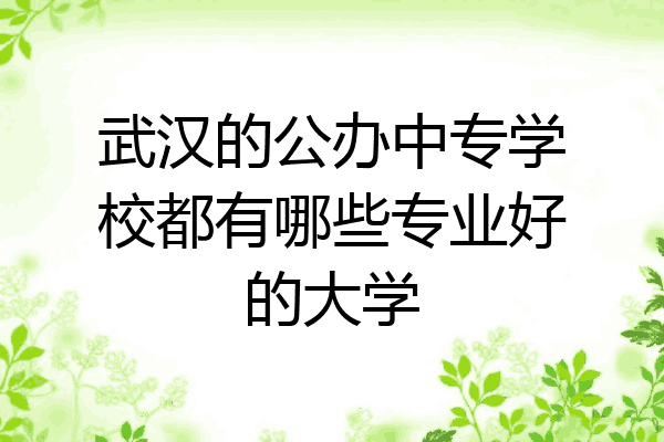 武汉的公办中专学校都有哪些专业好的大学