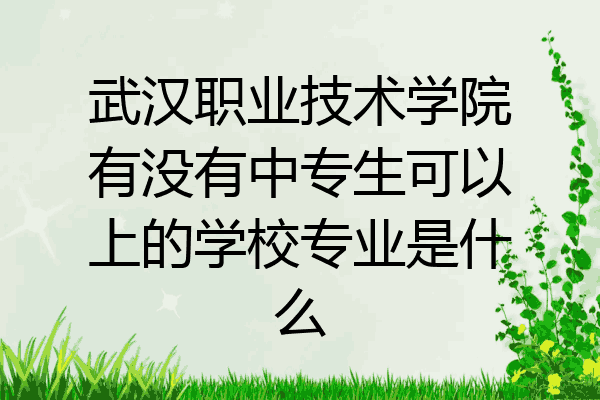 武汉职业技术学院有没有中专生可以上的学校专业是什么