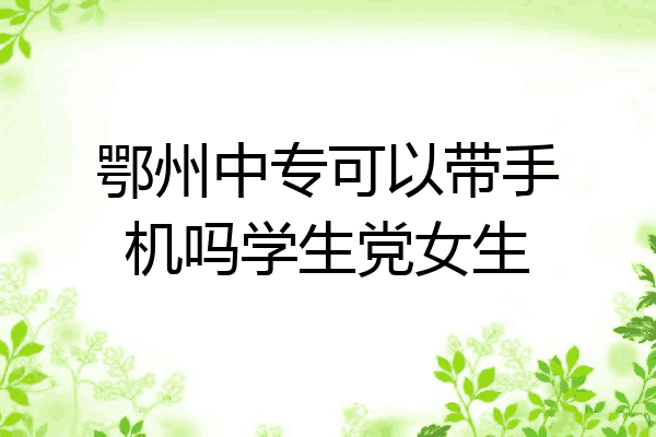 鄂州中专可以带手机吗学生党女生