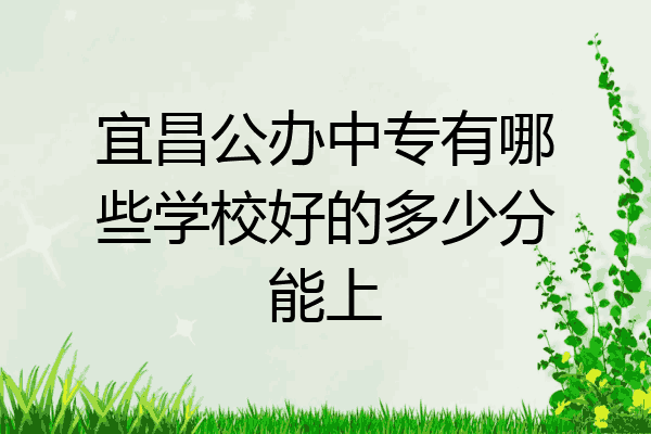 宜昌公办中专有哪些学校好的多少分能上