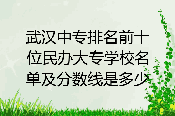 武汉中专排名前十位民办大专学校名单及分数线是多少