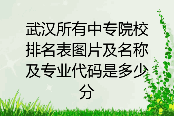 武汉所有中专院校排名表图片及名称及专业代码是多少分