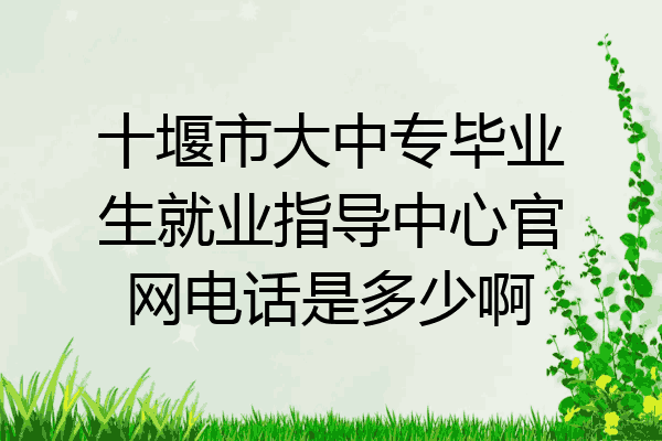 十堰市大中专毕业生就业指导中心官网电话是多少啊