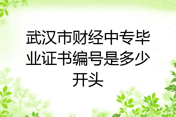 武汉市财经中专毕业证书编号是多少开头