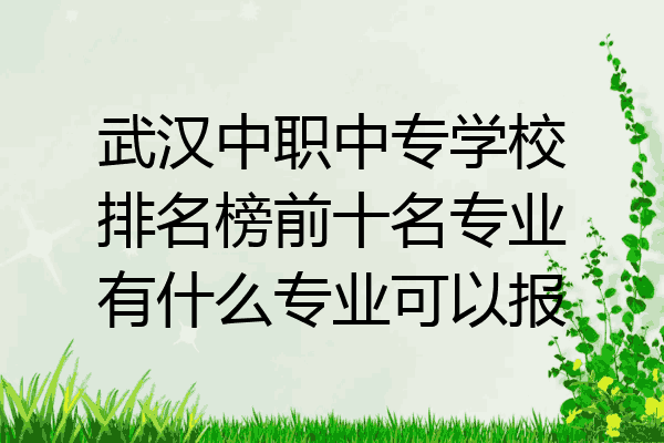 武汉中职中专学校排名榜前十名专业有什么专业可以报
