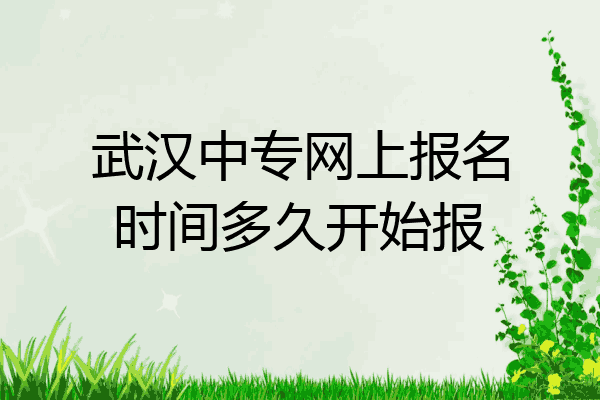 武汉中专网上报名时间多久开始报