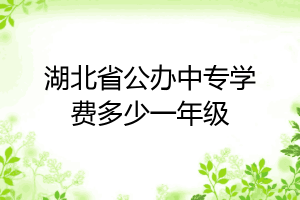 湖北省公办中专学费多少一年级