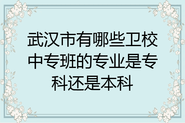 武汉市有哪些卫校中专班的专业是专科还是本科