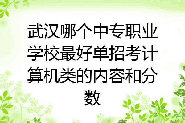 武汉哪个中专职业学校最好单招考计算机类的内容和分数