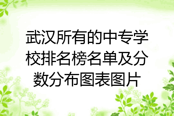 武汉所有的中专学校排名榜名单及分数分布图表图片
