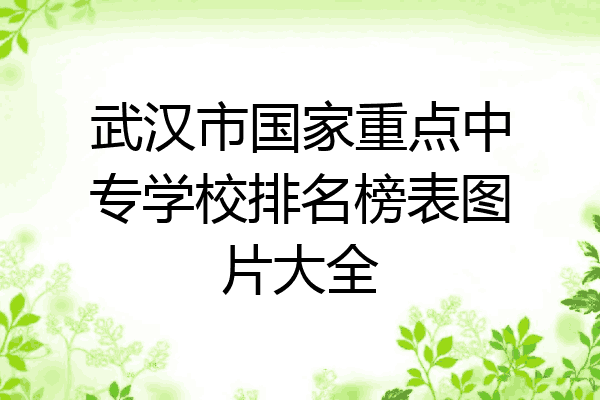 武汉市国家重点中专学校排名榜表图片大全