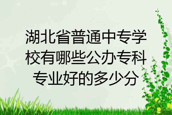 湖北省普通中专学校有哪些公办专科专业好的多少分