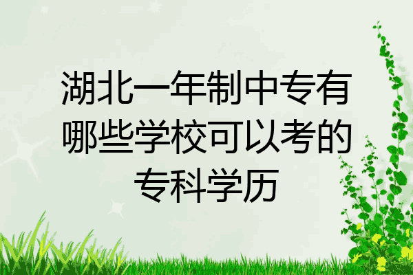 湖北一年制中专有哪些学校可以考的专科学历