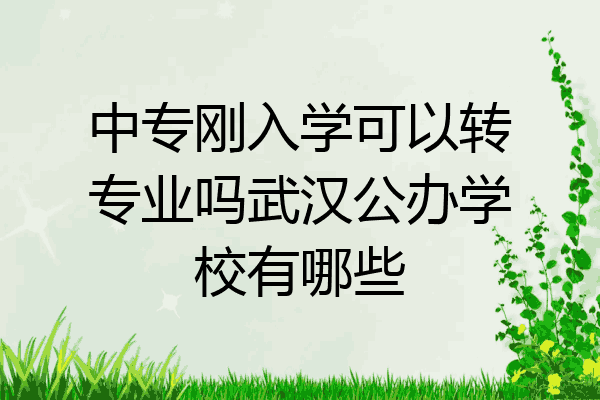 中专刚入学可以转专业吗武汉公办学校有哪些