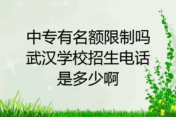 中专有名额限制吗武汉学校招生电话是多少啊