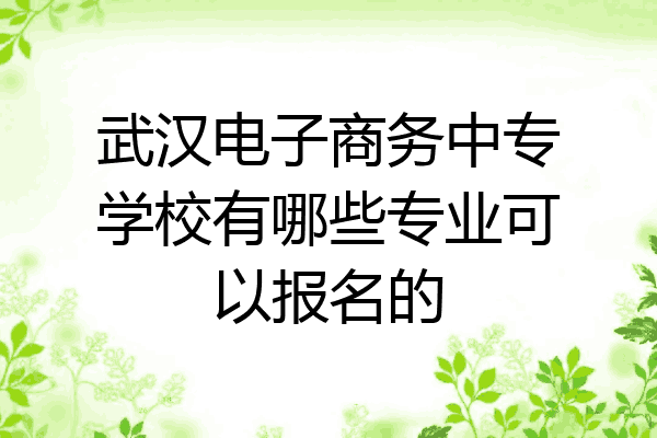 武汉电子商务中专学校有哪些专业可以报名的
