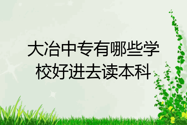 大冶中专有哪些学校好进去读本科