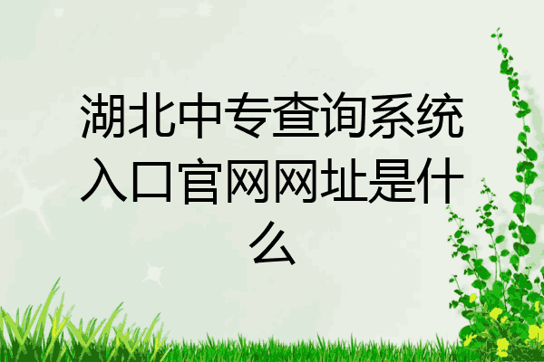 湖北中专查询系统入口官网网址是什么