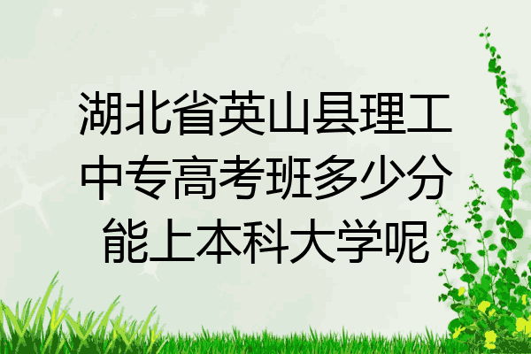 湖北省英山县理工中专高考班多少分能上本科大学呢