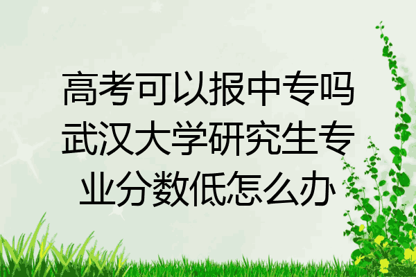 高考可以报中专吗武汉大学研究生专业分数低怎么办