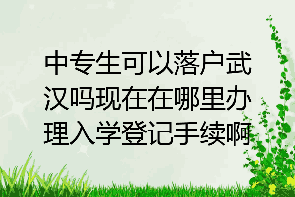 中专生可以落户武汉吗现在在哪里办理入学登记手续啊