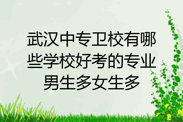 武汉中专卫校有哪些学校好考的专业男生多女生多