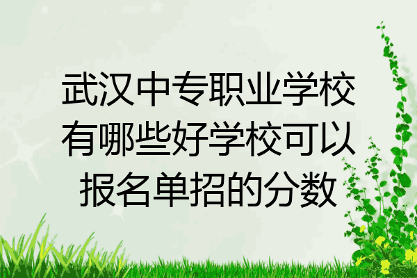武汉中专职业学校有哪些好学校可以报名单招的分数