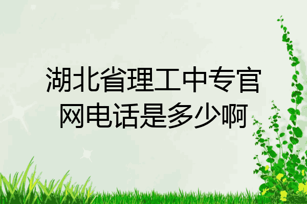 湖北省理工中专官网电话是多少啊