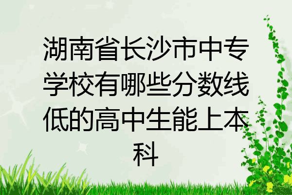 湖南省长沙市中专学校有哪些分数线低的高中生能上本科