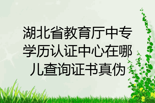 湖北省教育厅中专学历认证中心在哪儿查询证书真伪